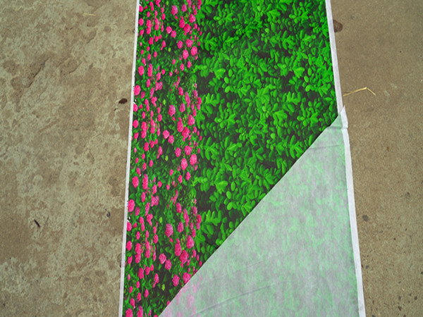 北方地区园林绿化防寒布哪家好 优质植物防冻印花无纺布批发厂家